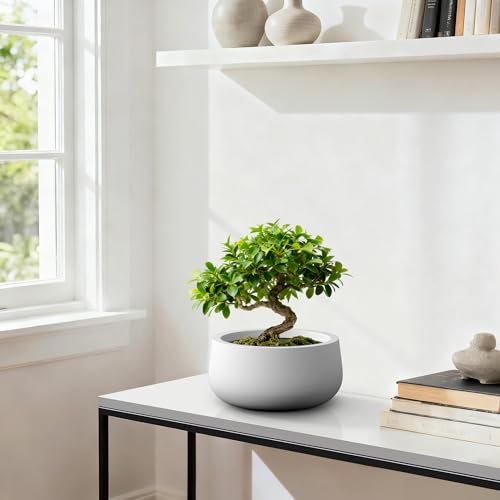 Accent Round Bowl White Concrete Planter 16" Dia (Pure White / 15.7"w)