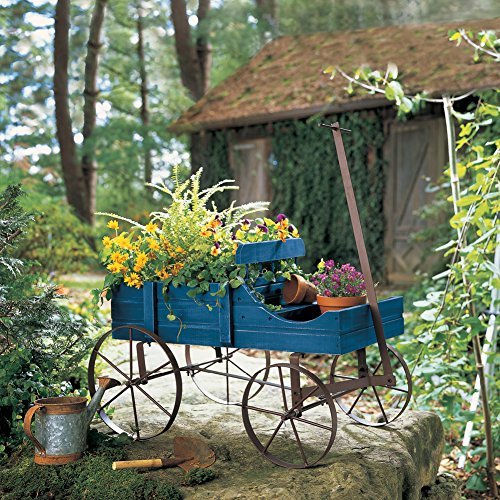 Amish Wagon Decorative Indoor (Blue)