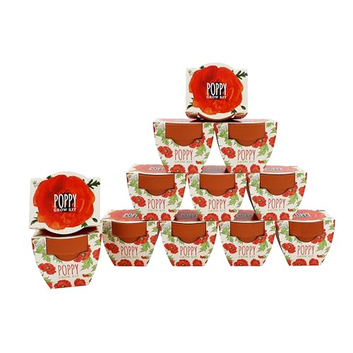 Seeds Poppy Grow Kit 12 (12 Count)