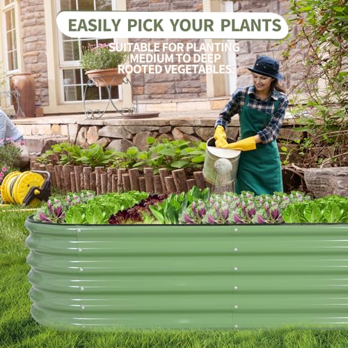 Galvanized Raised Garden Bed Outdoor