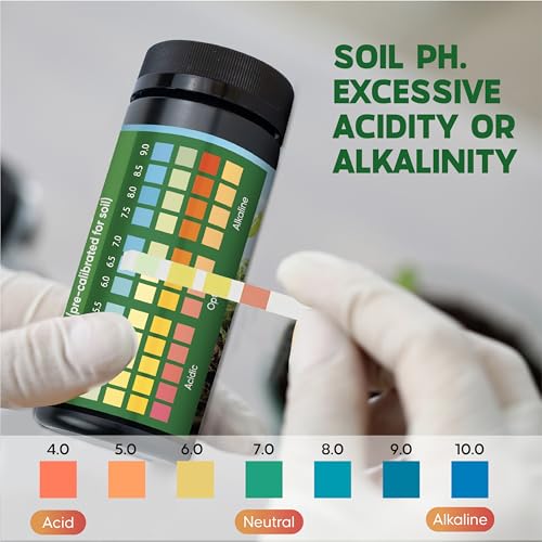 Soil Test Kit (100 Count)