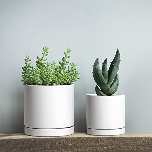 3 Pack White Terracotta Pots & Saucers (4+5+6 Inch / White)