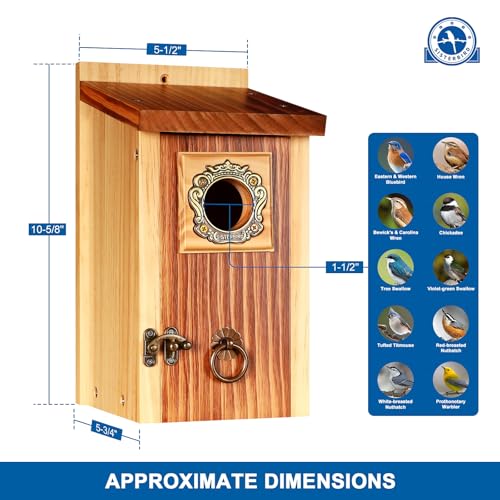 2 Pack Premium Bird House