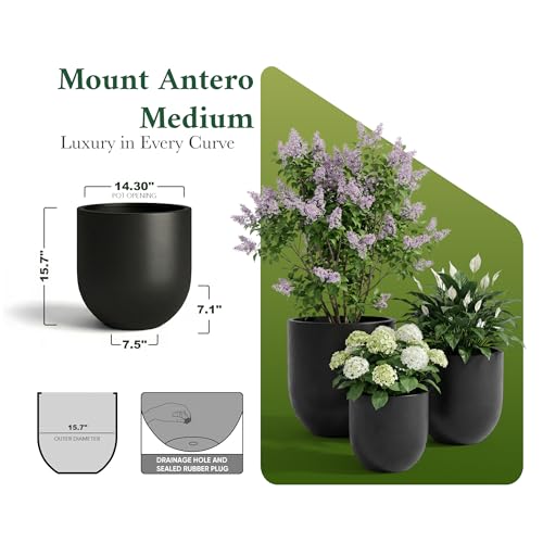 Mount Antero 15.7'' D x 15.9'' H (Medium / Black)