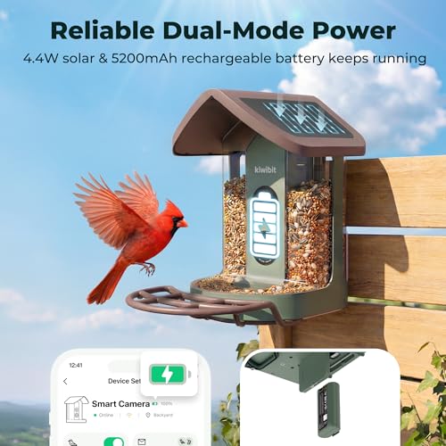 Solar Smart Bird Feeder with Camera