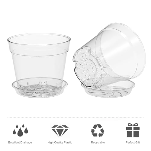 4 Inch Clear Nursery Pots (30 Count)