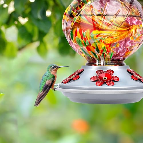 Hummingbird Feeders for Outdoors Hanging