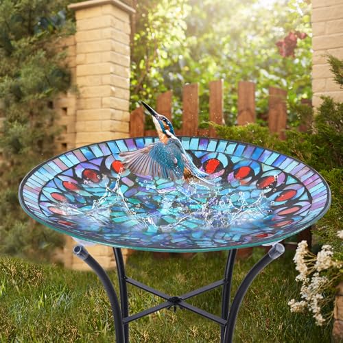 Glass Bird Bath