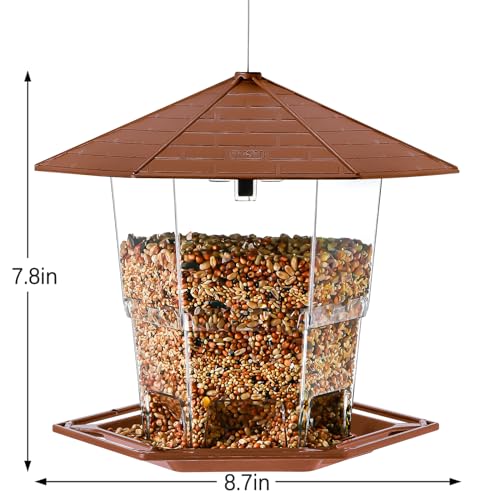 Hanging Bird Feeder for Outdoors