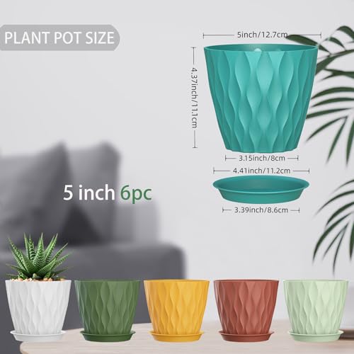 5 Inch Planter Pots (Colorful / 5inch)