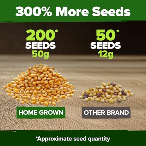 Golden Bantam Sweet Corn Seeds