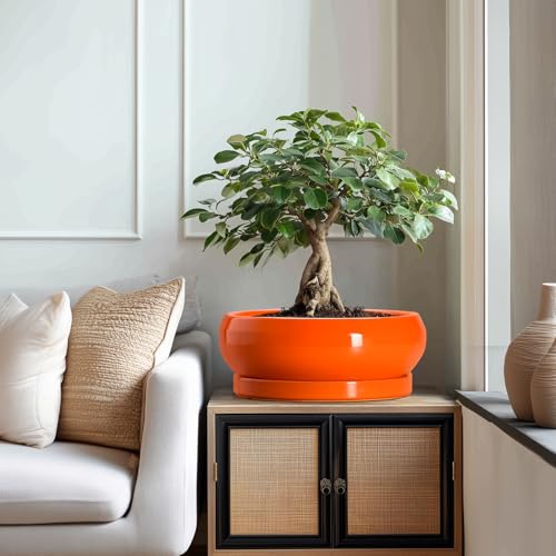 Bonsai Pots 13 Inch Ceramic Succulent Pots with Drainage Hole and Saucer (13 Inch / Orange)
