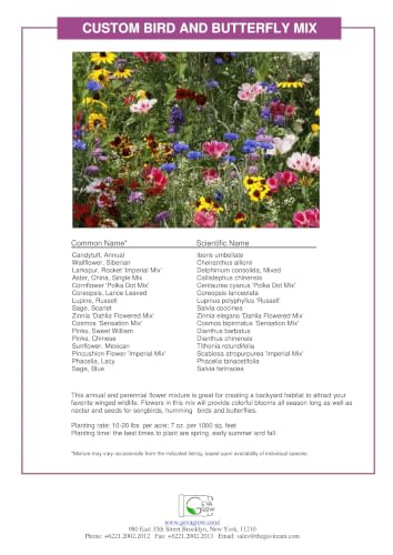 Bulk Wildflower Seed (16 Ounce)
