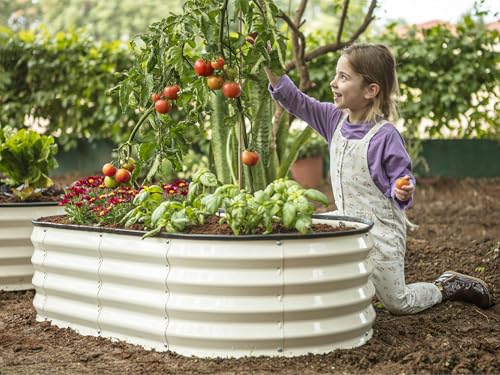 Galvanized Raised Garden Beds Outdoor (2 Count)