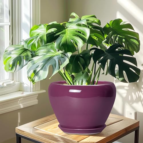 10 Inch Plant Pot (10 Inch / Purple)