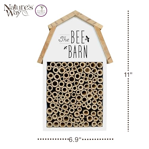 Wooden Bee House for Outdoor Décor