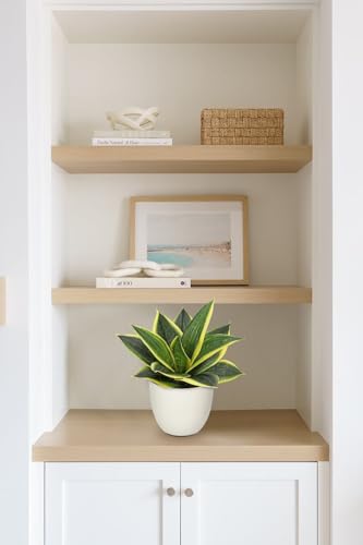 Artificial Snake Plants 9" Faux Agave Succulent Plant Potted in White Pot Fake Sansevieria Aloe Tropical Plant for Desk Modern Office Home Bathroom Indoor Outdoor Decor (Green #2)