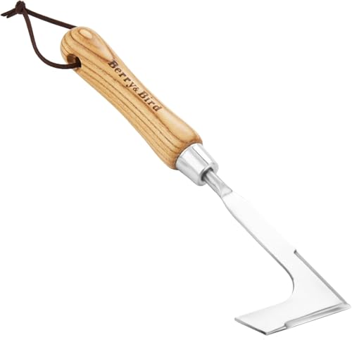 Crack Weeder Crevice Weeding Tool