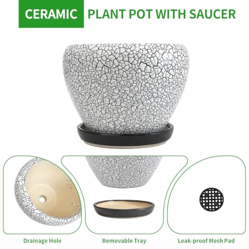 6 Inch Plant Pots (Wood Crack Black / 6 Inch)