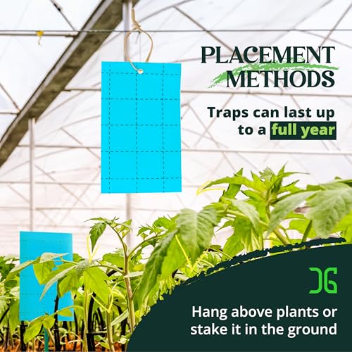 GRO Blue Regular Double Sided Sticky Traps 72PK (72 Pack - Blue)