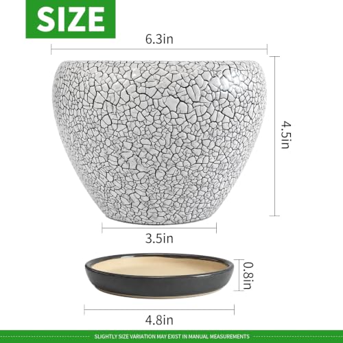 6 Inch Plant Pots (Wood Crack Black / 6 Inch)