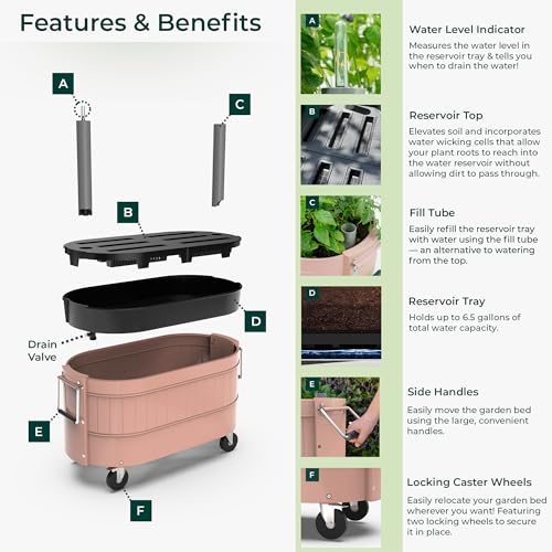 Self Watering Garden Bed