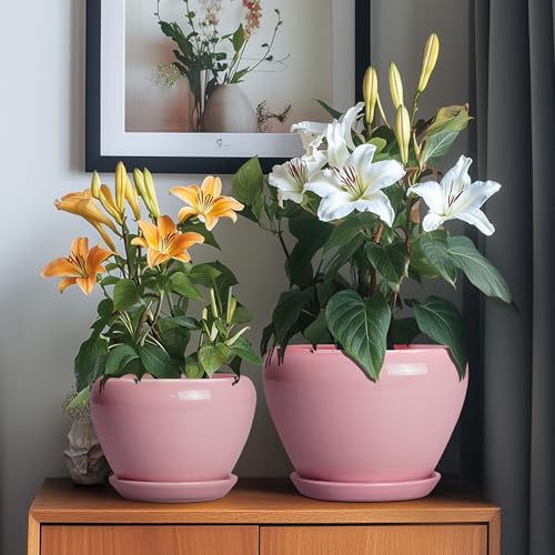 Ceramic Planters (10+8+6 Inch / Pink)