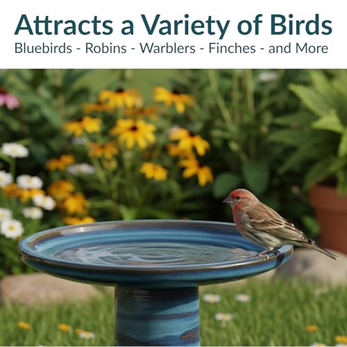 Sunnydaze Ceramic Bird Bath for Outside
