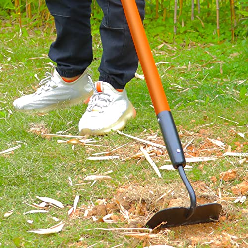 Garden Hoe Tool