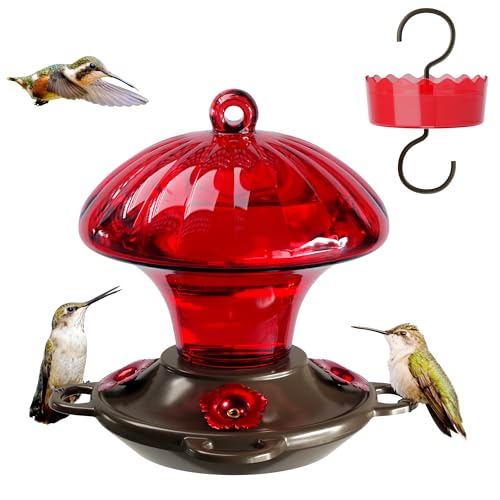 Glass Hummingbird Feeders for Outdoors Hanging