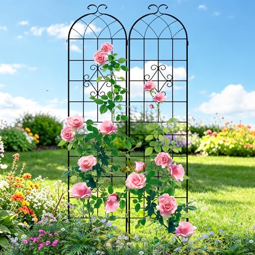 78.4 x 40in Rustic Iron Arch Decoration Garden Trellis with Black Metal Coating (Black / 78.4"H x 40"W)