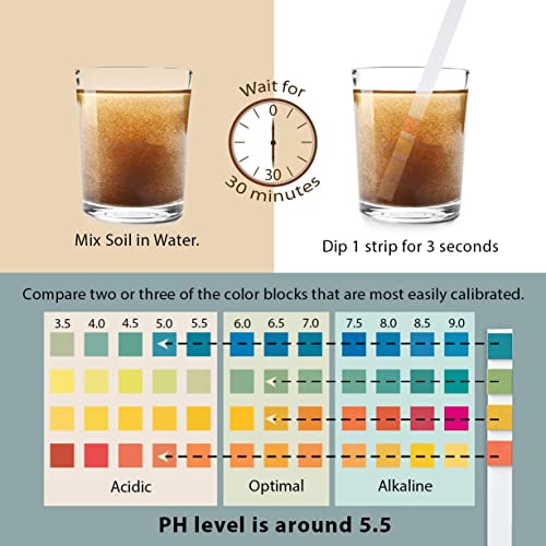 Soil Test Kit (100 Count)