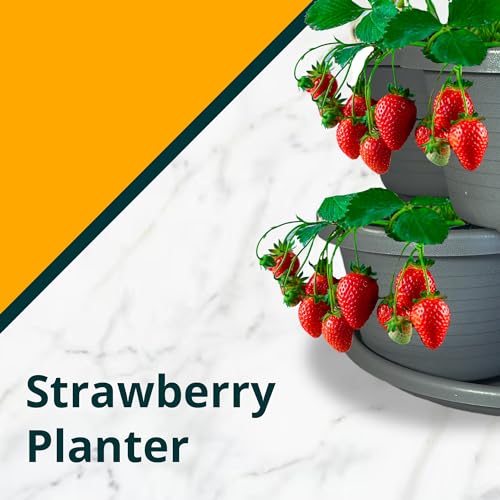 Strawberry Planter Vertical Gardening Stackable Planter Strawberry Tower 5 Tier Herb Outdoor Indoor