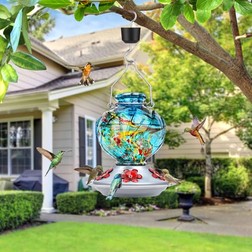 Hummingbird Feeders for Outdoors Hanging