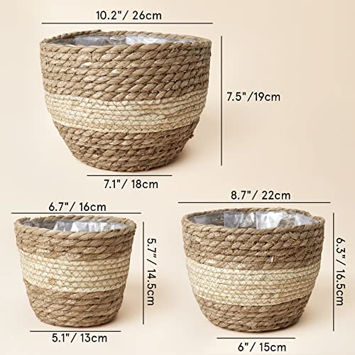 Seagrass Basket Planters for Indoor Plants