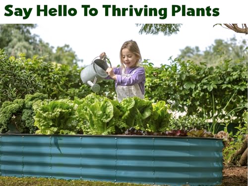 Galvanized Raised Garden Beds Outdoor