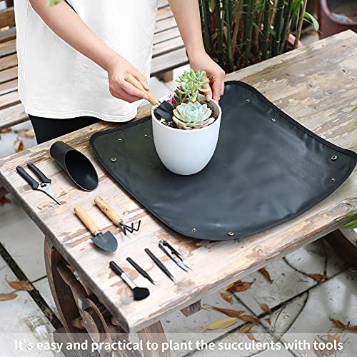 11Pcs Succulent Tools