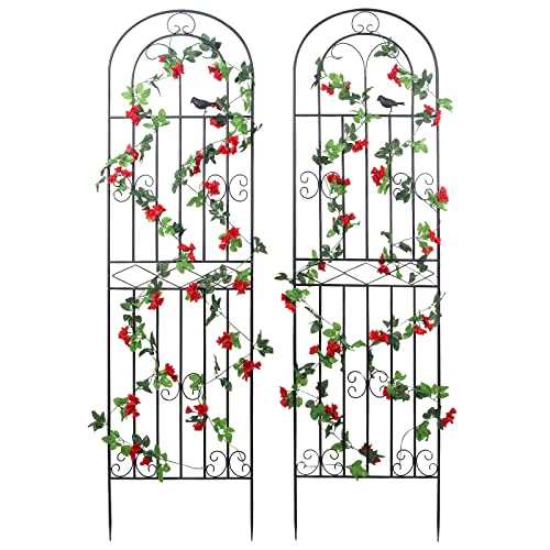 2 Pack 70.8" H x 19.7" W Metal Garden Trellis with Black Coating