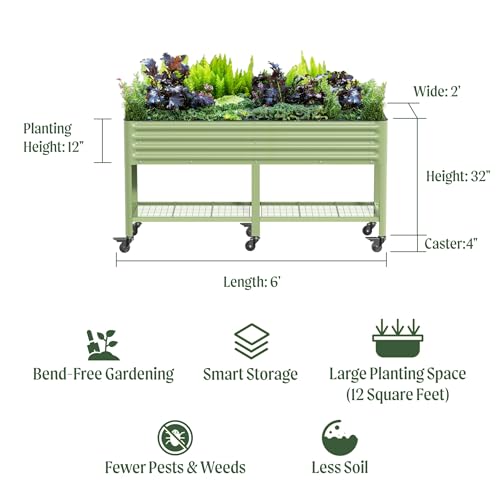 Rolling Elevated Raised Garden Bed