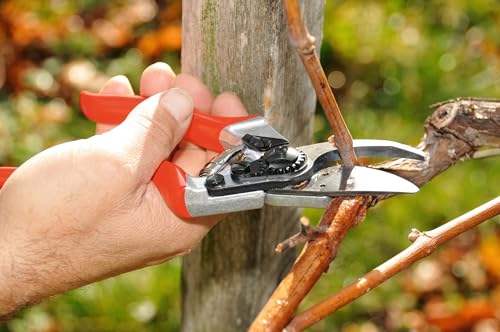 F8 Pruning Shears