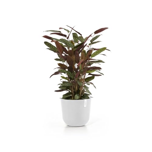 Oslo Round Flower Planter (Pure White / 14")