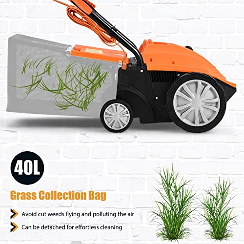 2-in-1 Lawn Dethatcher and Scarifier, 3 Level Depth Adjustable Weeder w/ 11 Gallon Collection Bag & 2 Removable Blades, 13-Inch 12 Amp Corded Electric Scarifier for Garden & Yard