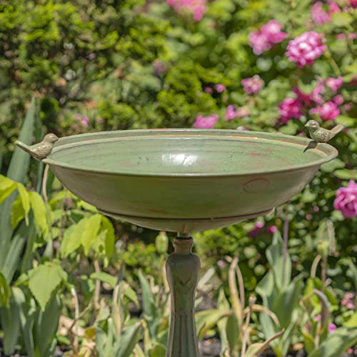 Pedestal Style Birdbath