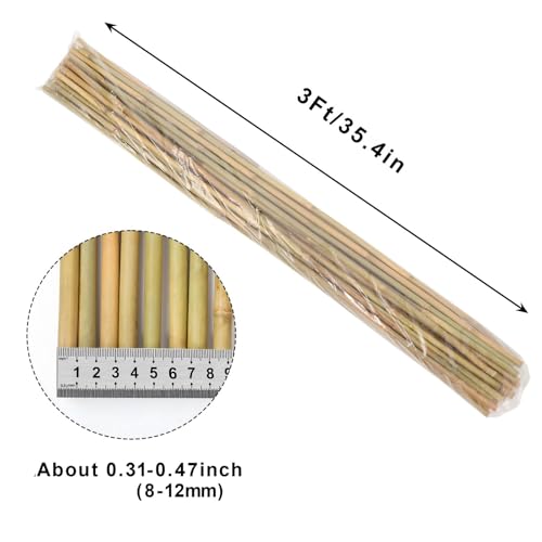 Natural Bamboo Poles (3FT-25PCS)