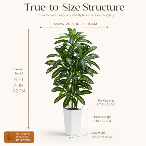 Artificial Dracaena Tree (Dark Green – White Pot / 6FT)