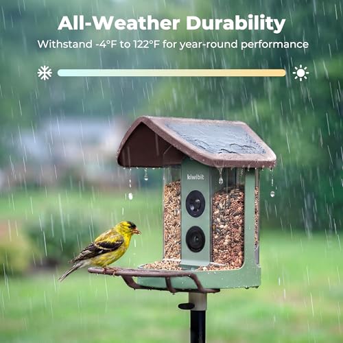 Solar Smart Bird Feeder with Camera