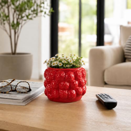 Fruit Inspired Planter for Indoor and Outdoor Display (Red / 5")