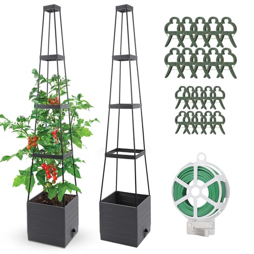 2 Pack Raised Garden Bed (2 Count)