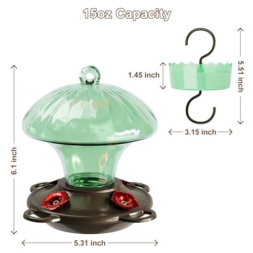 Glass Hummingbird Feeders for Outdoors Hanging