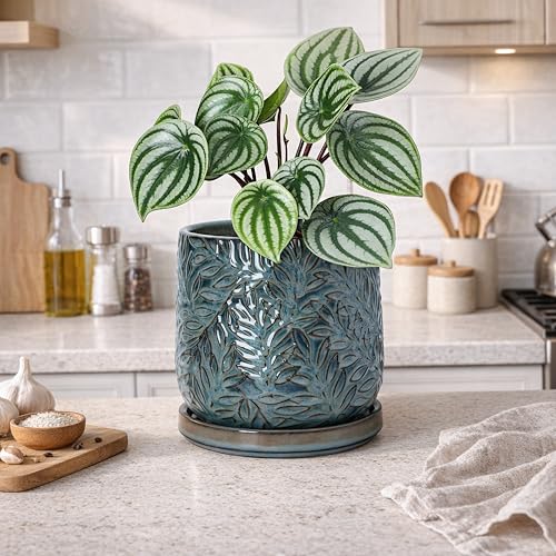 Embossed Leaves Ceramic Planter (6 Inch / Ocean Teal)